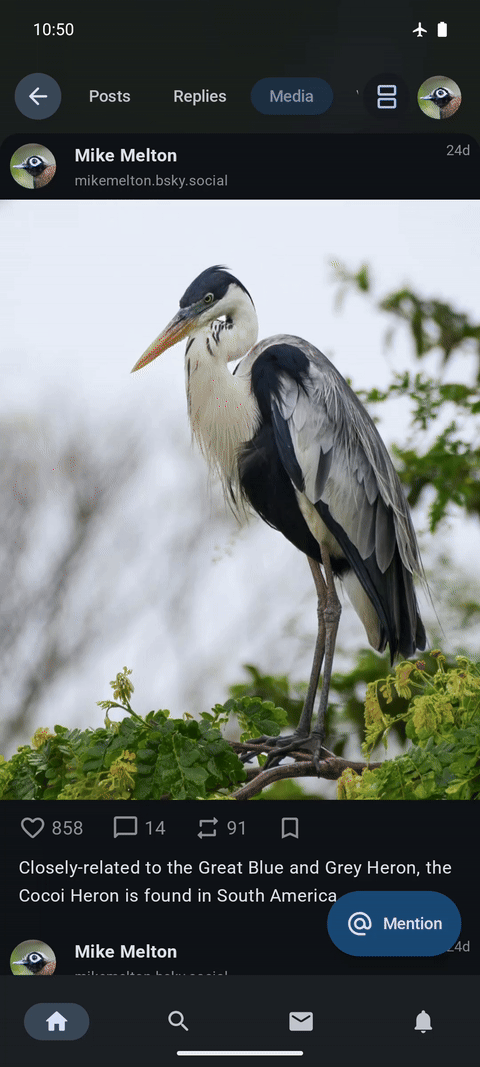 Offline mode animation