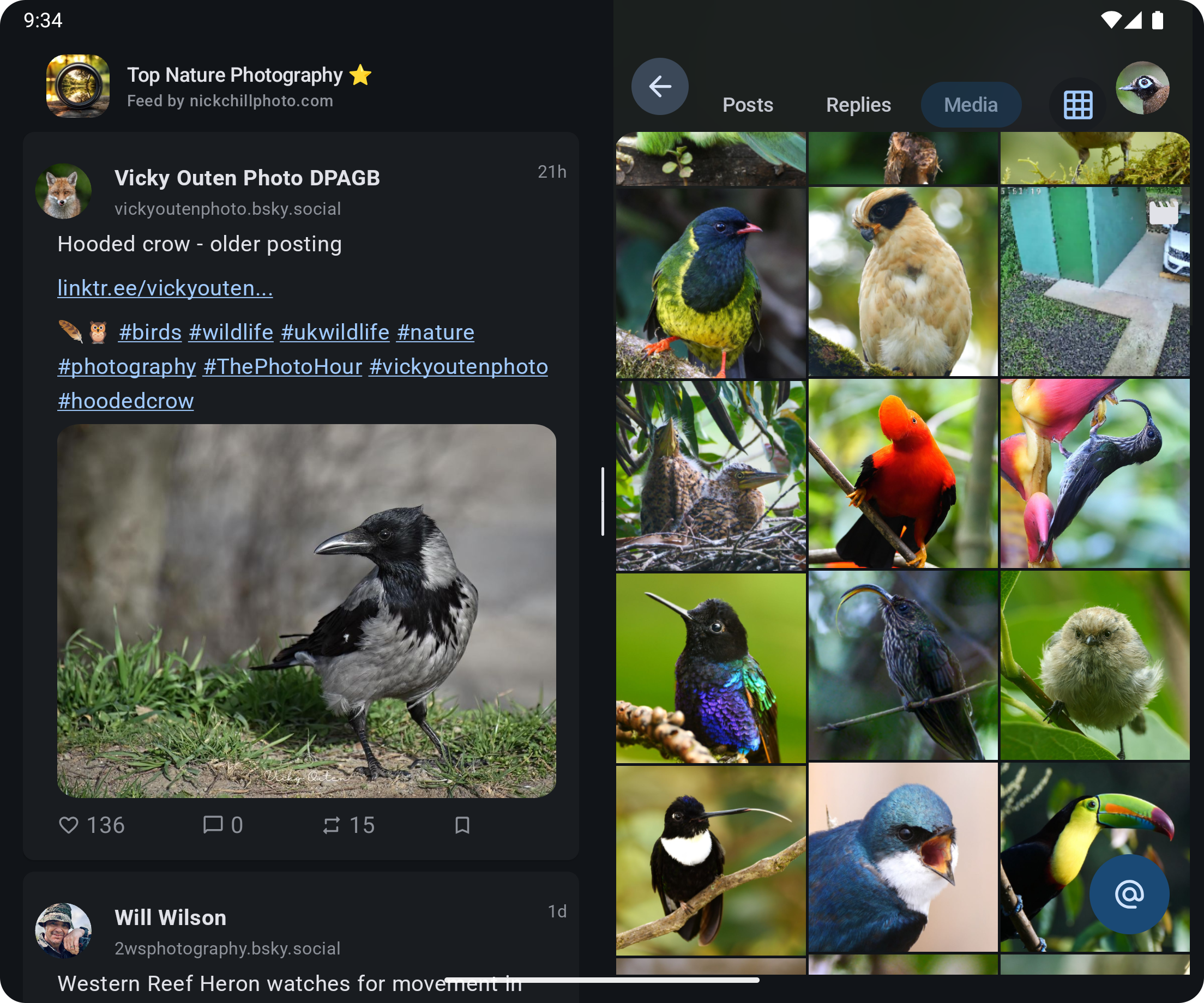 Animation of a grid feed on desktop