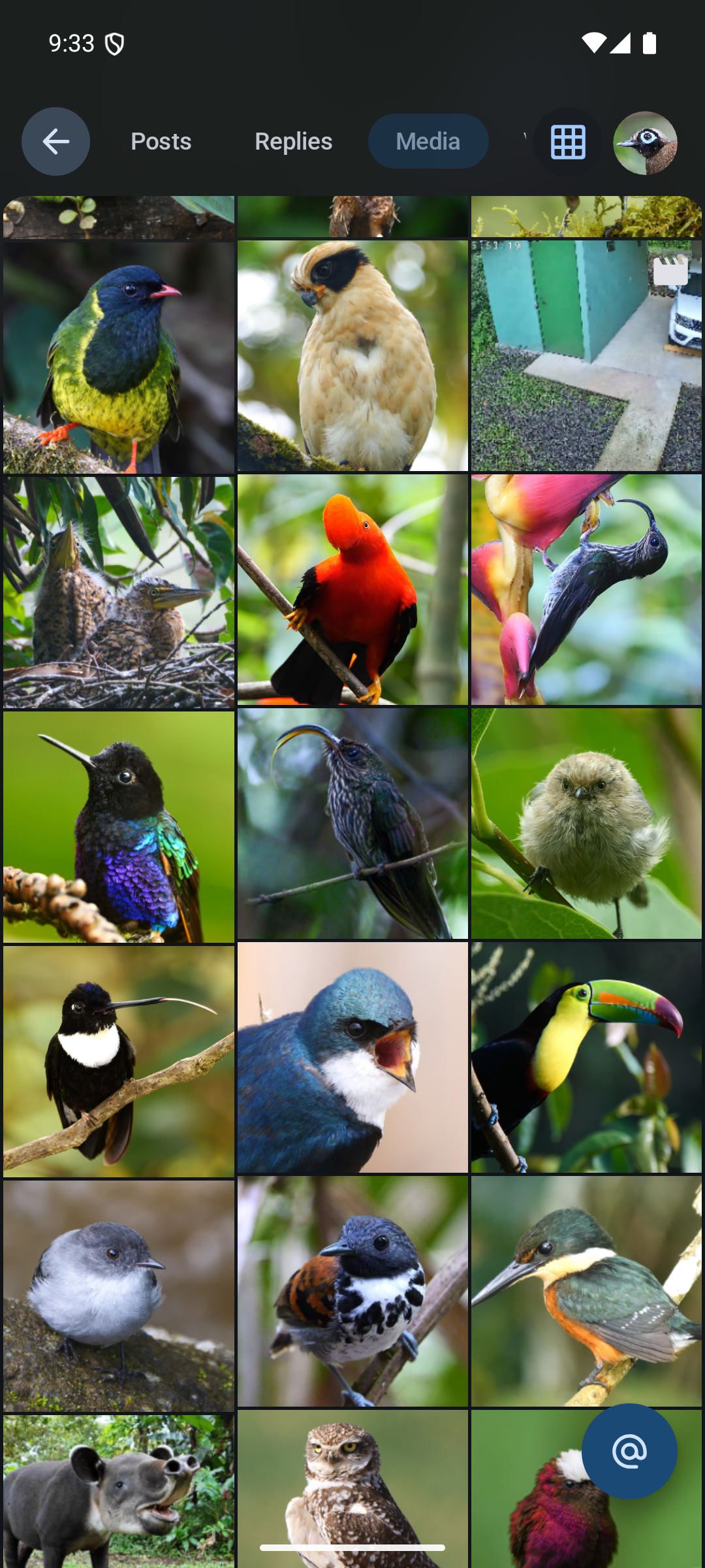 Animation of a grid feed on mobile