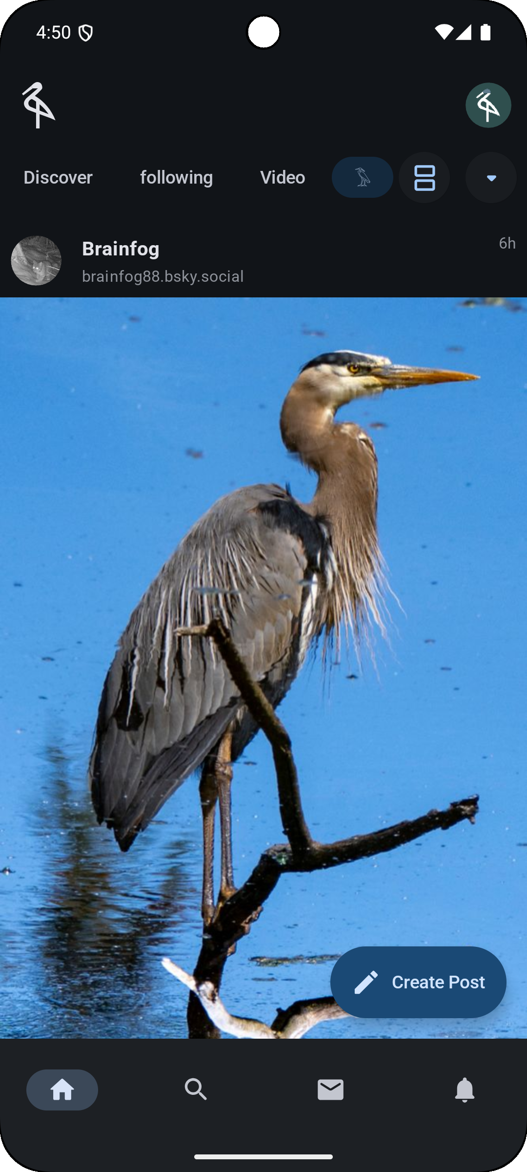 Animation of a media feed on mobile