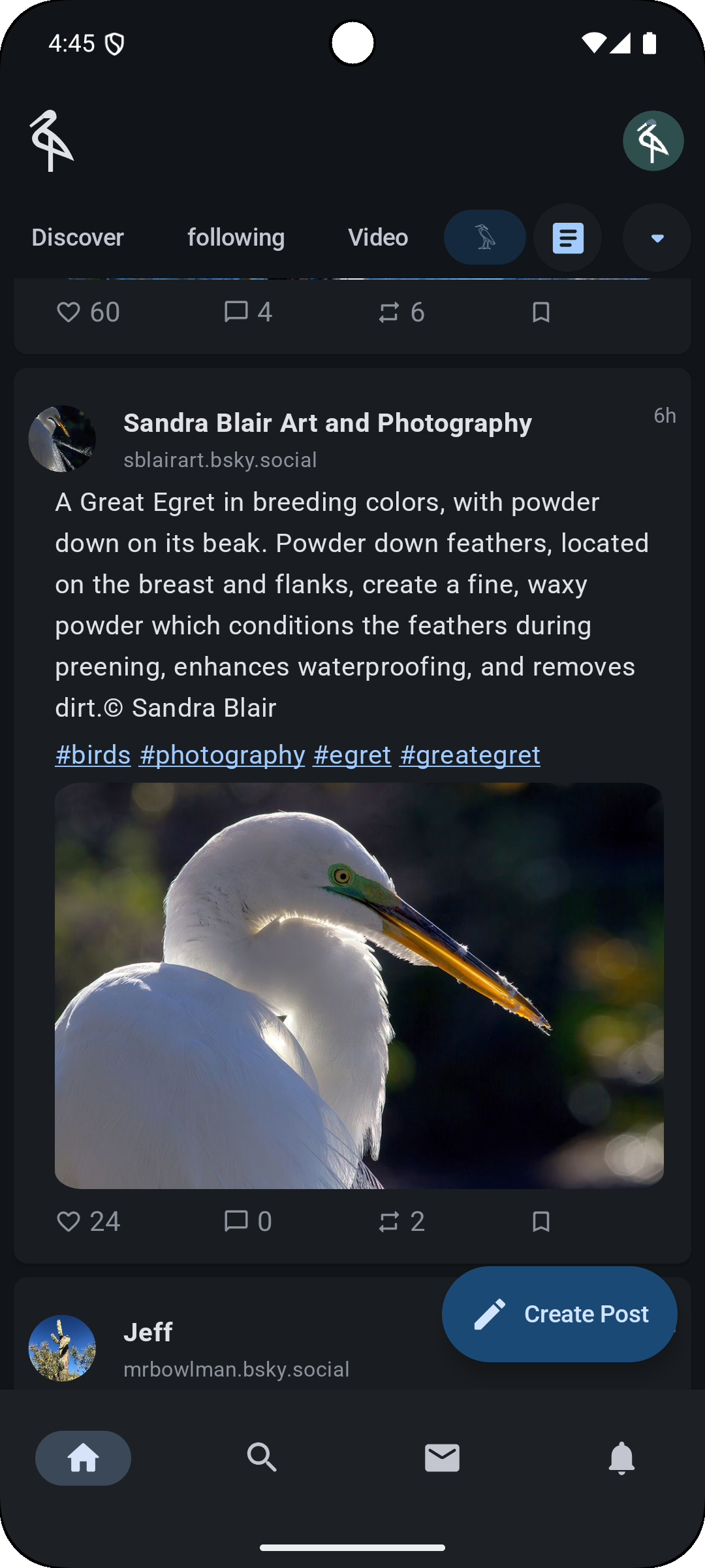Animation of a text-based feed on mobile